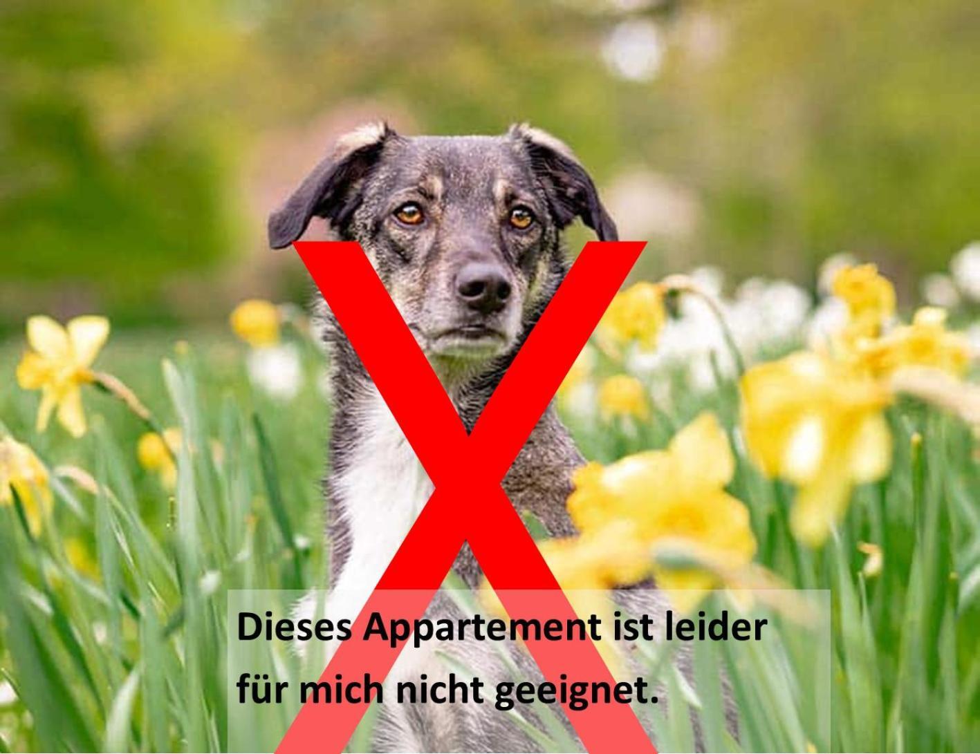 Gaestehaus Zehmerhof Bei Erding Walpertskirchen Kültér fotó